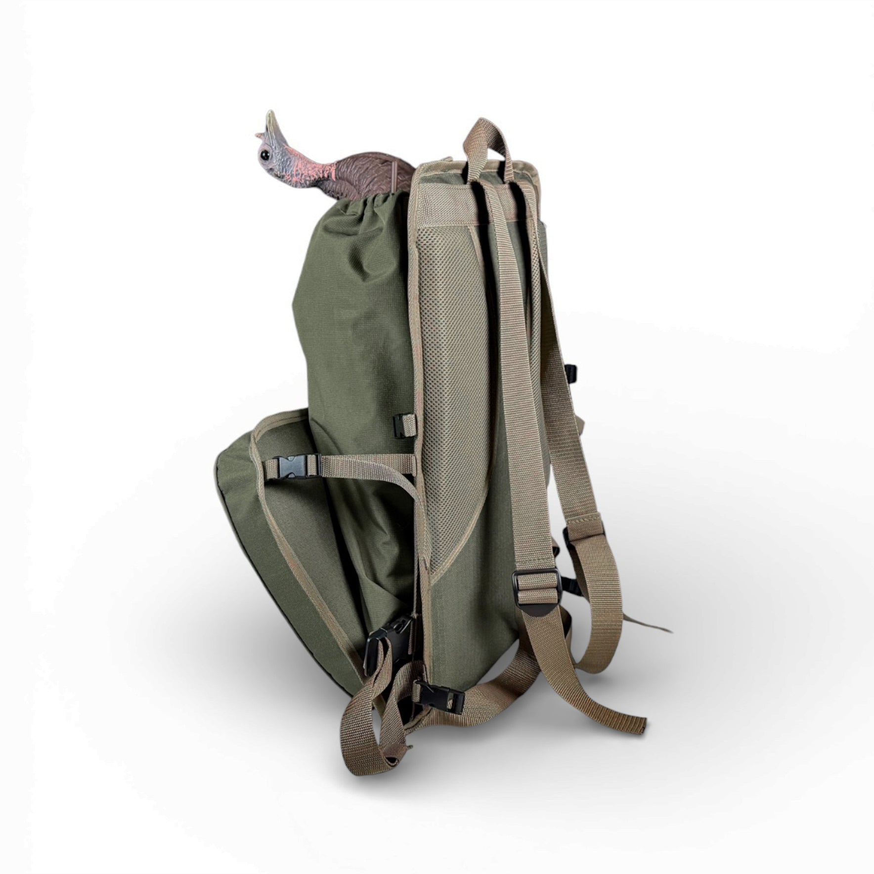 Strutter Lounger